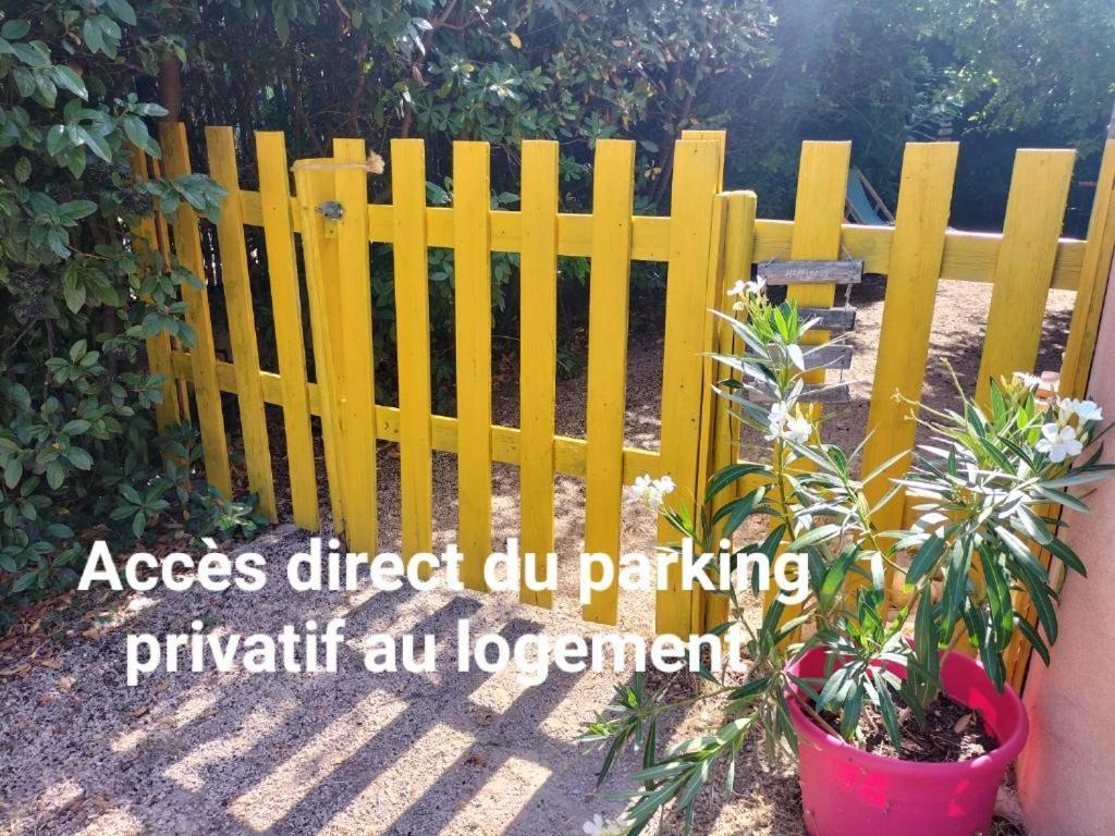 Вилла Calme Et Intimite Proche Avignon Piscine Options Au Choix Privee Ou Partagee De Juin A Octobre Morieres-les-Avignon Экстерьер фото
