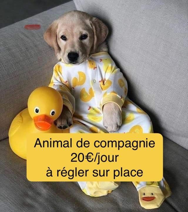 Вилла Calme Et Intimite Proche Avignon Piscine Options Au Choix Privee Ou Partagee De Juin A Octobre Morieres-les-Avignon Экстерьер фото